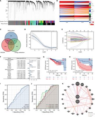 Energy Metabolism-Related Gene Prognostic Index Predicts Biochemical Recurrence for Patients With Prostate Cancer Undergoing Radical Prostatectomy